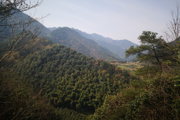 甘肅“五棋聯動”筑牢西部生態屏障，PM2.5平均濃度連續兩年同比下降